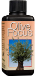Olive Focus